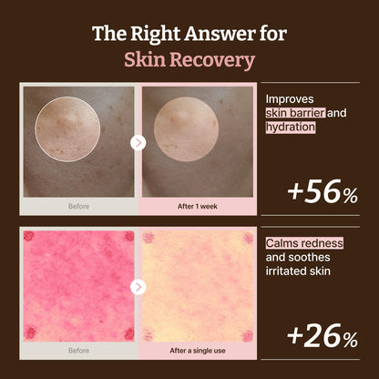 Rejuall Face Moisturizer