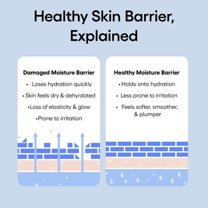 LANEIGE Water Bank Blue Hyaluronic Cream 50ml